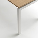 Tafel Arca 