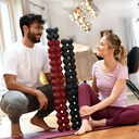 SPINEFITTER® by SISSEL® Mini – compacte rug- en mobiliteitstrainer