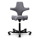 HAG Capisco 8106 Grey Promo EXR081 Blizzard