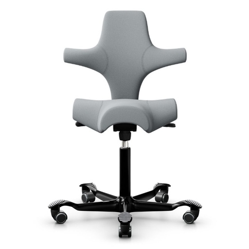 HAG Capisco 8106 Gris Clair Promo EXR094 Slip