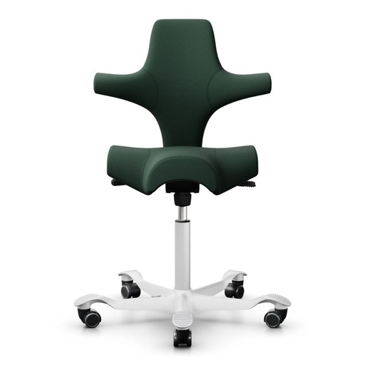 HAG Capisco 8106 Groen Promo